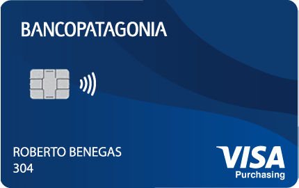 Visa Purchasing